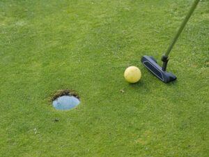 Golf Putting green as artificial garden additive