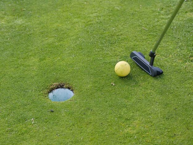 Golf Putting green as artifical garden additive