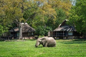 Bushcamp Company safari with its own fencing