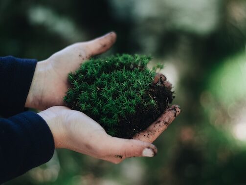 Environmentally Friendly Solutions to Safely Install Water Systems Into the Ground copy Image to show consideration for environmentally friendly solutions for water management