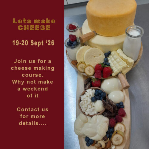 Information about a cheese making course to be held at Tenikwa on 19-20 September 2026
