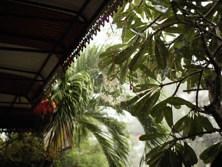 Rainwater-harvesting Rainwater harvesting and collection needs to be designed for different climates and biomes