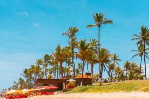 Image showing responsible tourism in a tropical ecosystem