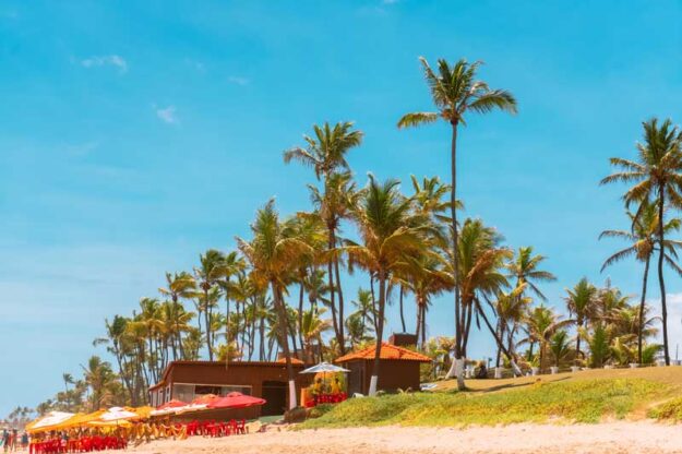 Image showing responsible tourism in a tropical ecosystem