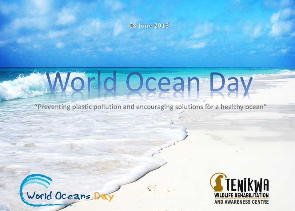 World Ocean Day