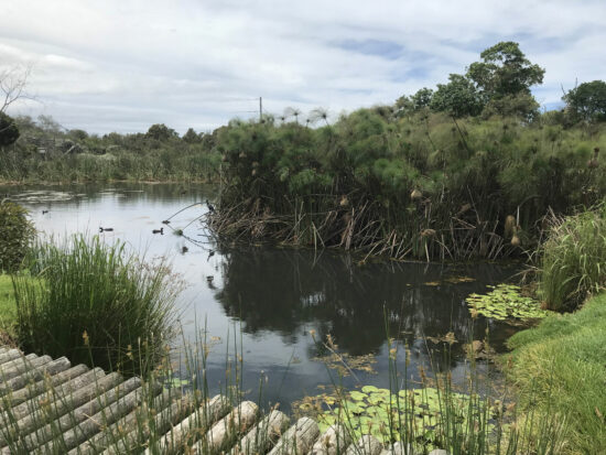 Several dams are perfect for bird watchers and nature lovers